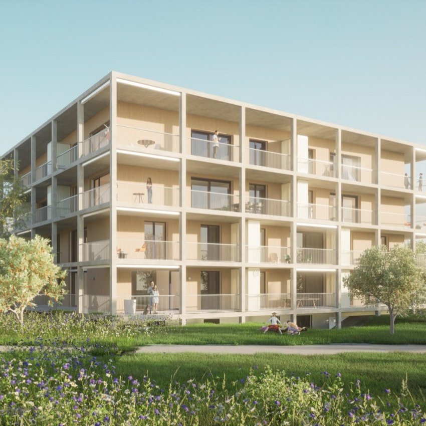 Neubau Neumatt Stein Hochbau-Projekt